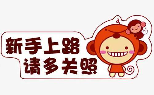 新手上高速的秘籍,看完秒变老司机_手机搜狐网