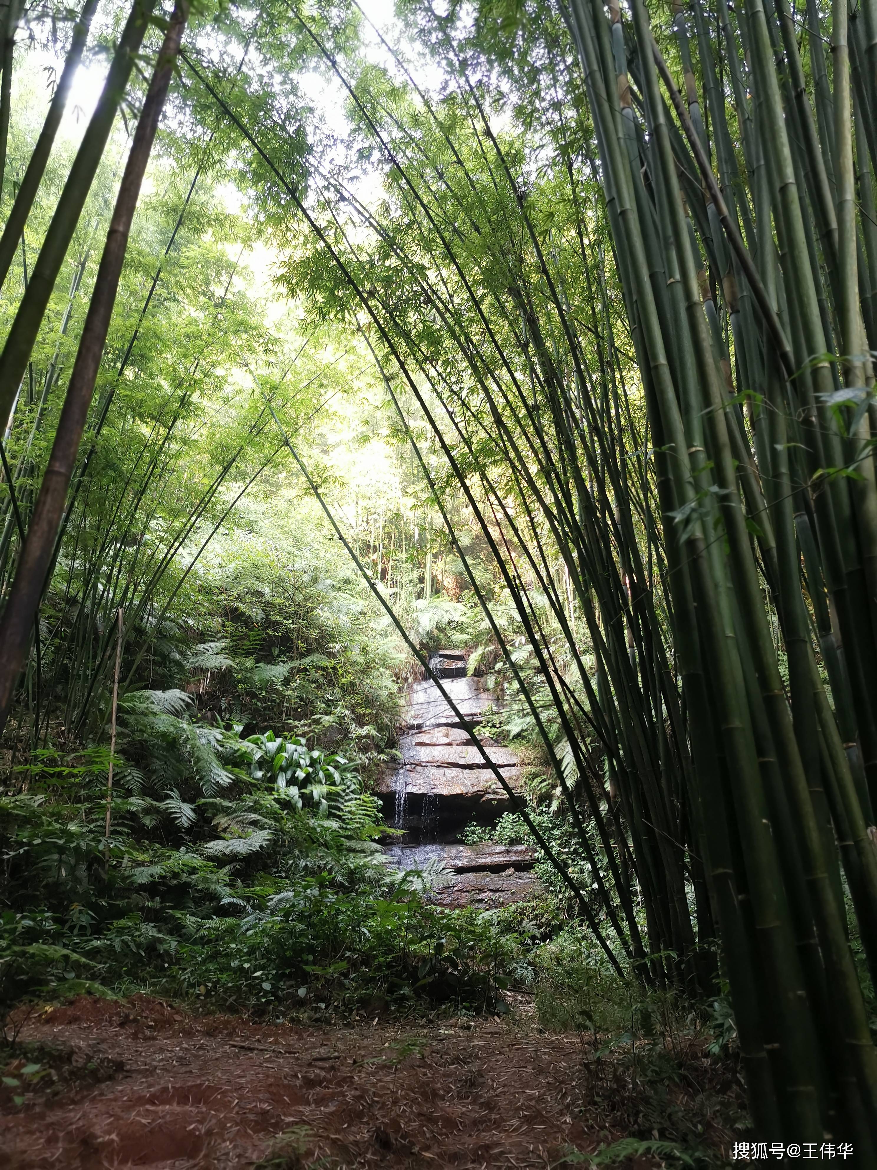 去赤水四洞沟观瀑布集合