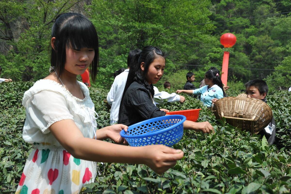 甘肃陇南的水有多清，山有多秀，来康县阳坝梅园沟，就知道了