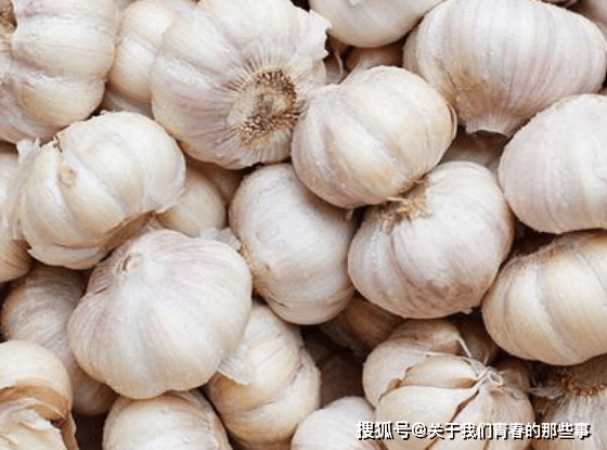 蒜头怎么保存好 ef54cfd34f8842e382abfe26eed5f34d.png