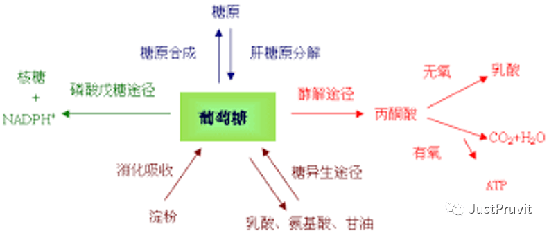 什么是内循环经济能具体点吗 f652721233394c94a2ddd563d4cf640c.png