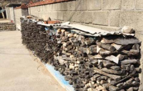 草什么门成语_草什么花什么成语