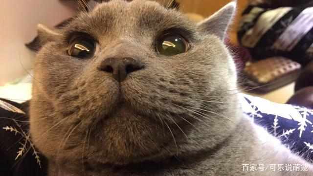 8a9415308aba4188b25298f18d0cdebf.jpeg