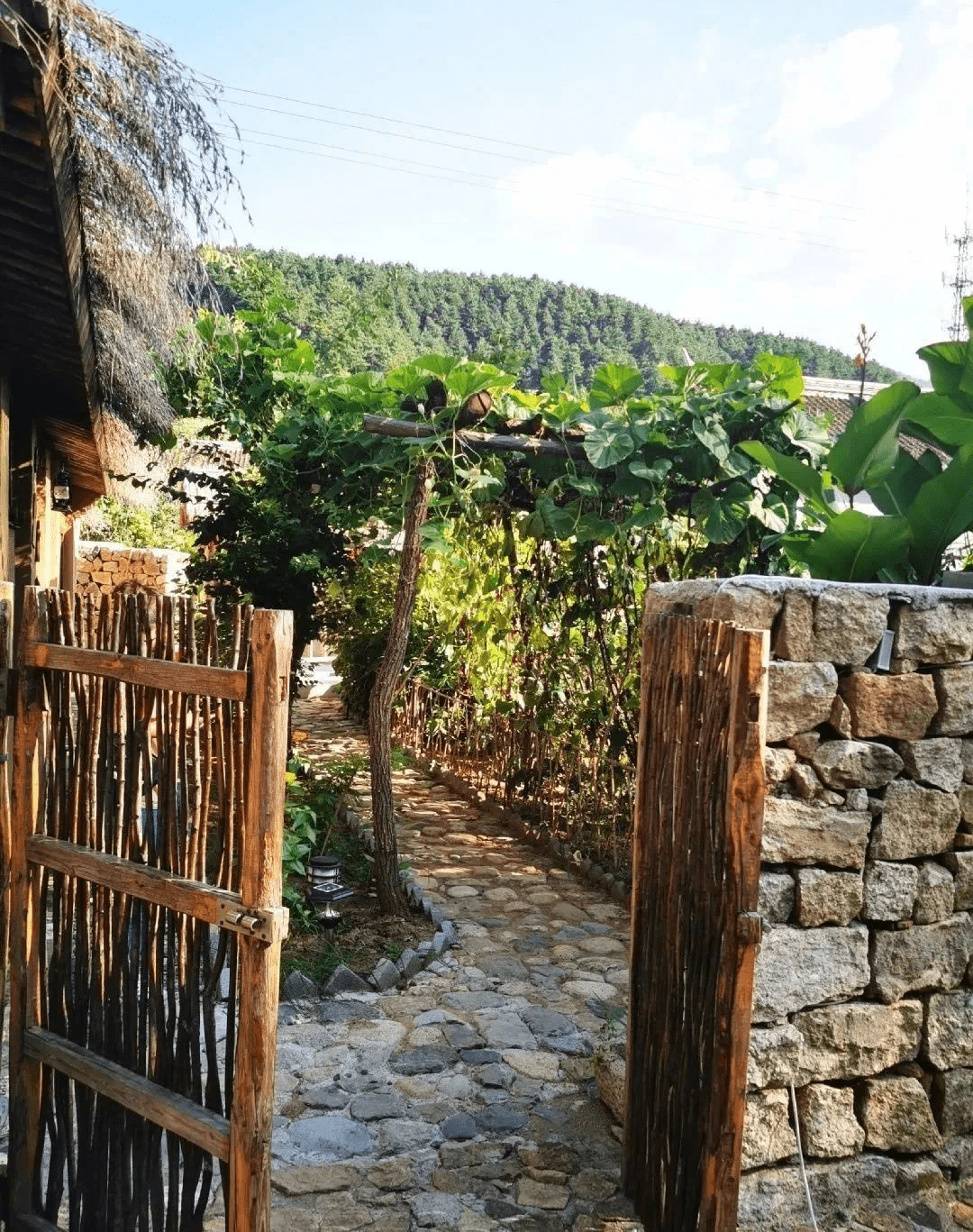 陌上花已开 | 雾灵山脚下的茅屋土房，越朴拙越精致