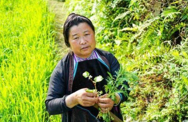 中国“最保守”村庄，男人只能娶本村女人，只为守住换花草的秘密