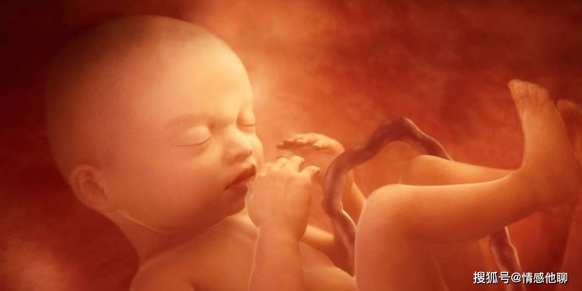 手什么时候发育 309db767d87b45df82fc886336096db9.jpeg