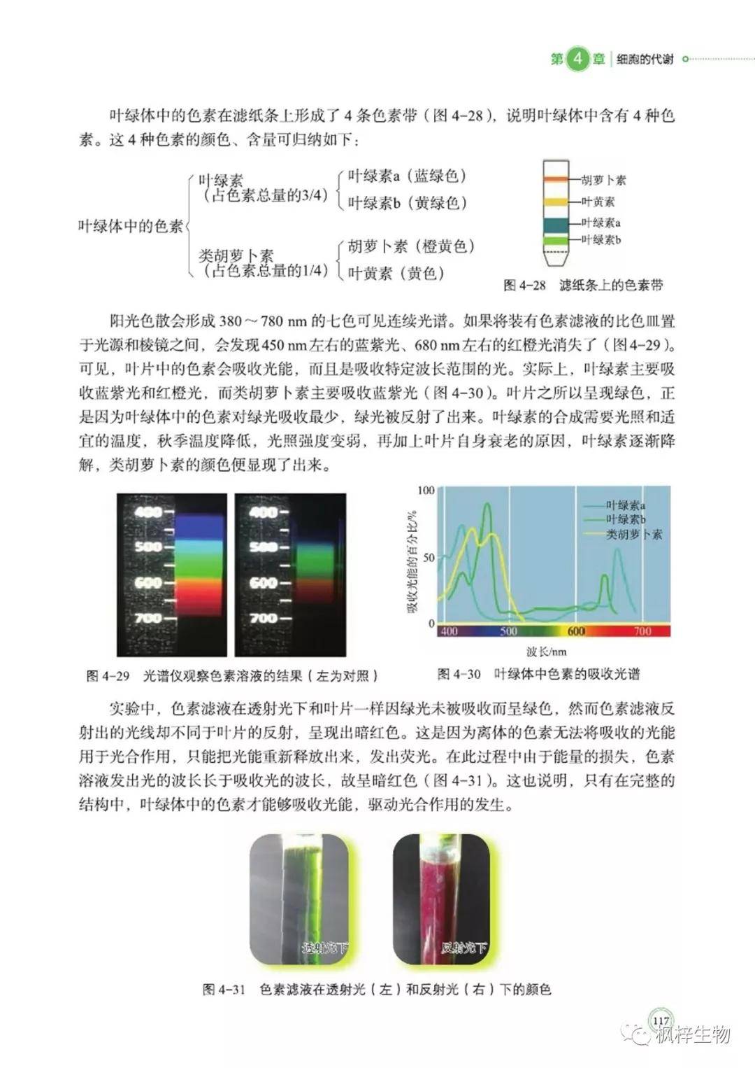 377a08872c584aeb8353e2cfb2a50603.jpeg