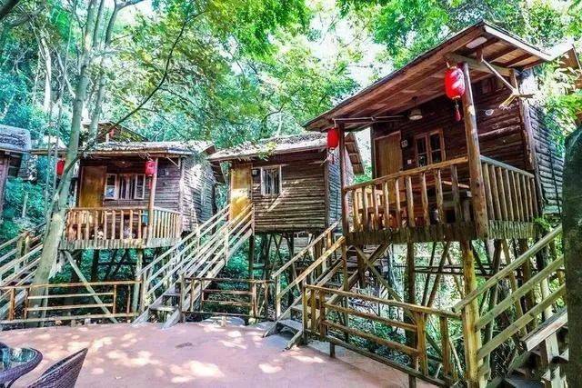 远泰|抖音上一睡难求的网红木屋，一晚999元，建造一栋仅需五万！