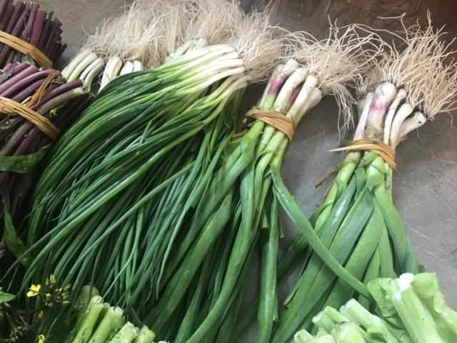 27cd27cb0c2641cdb86a5c4dec8d47ee.jpeg