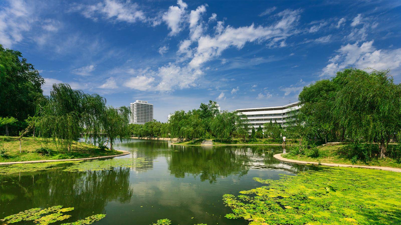 中国大学二本排名_中国大学排名终极PK前十大陆与港台平分秋色