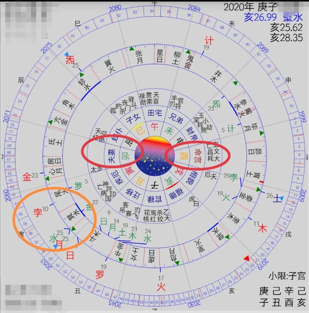 七政四余八字占星看感情姐姐我中了情花毒还有救吗