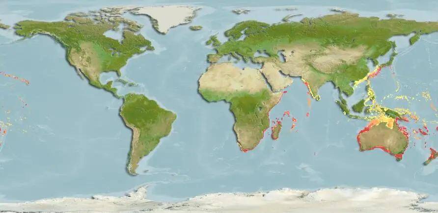 绿鳍鱼主要分布区域