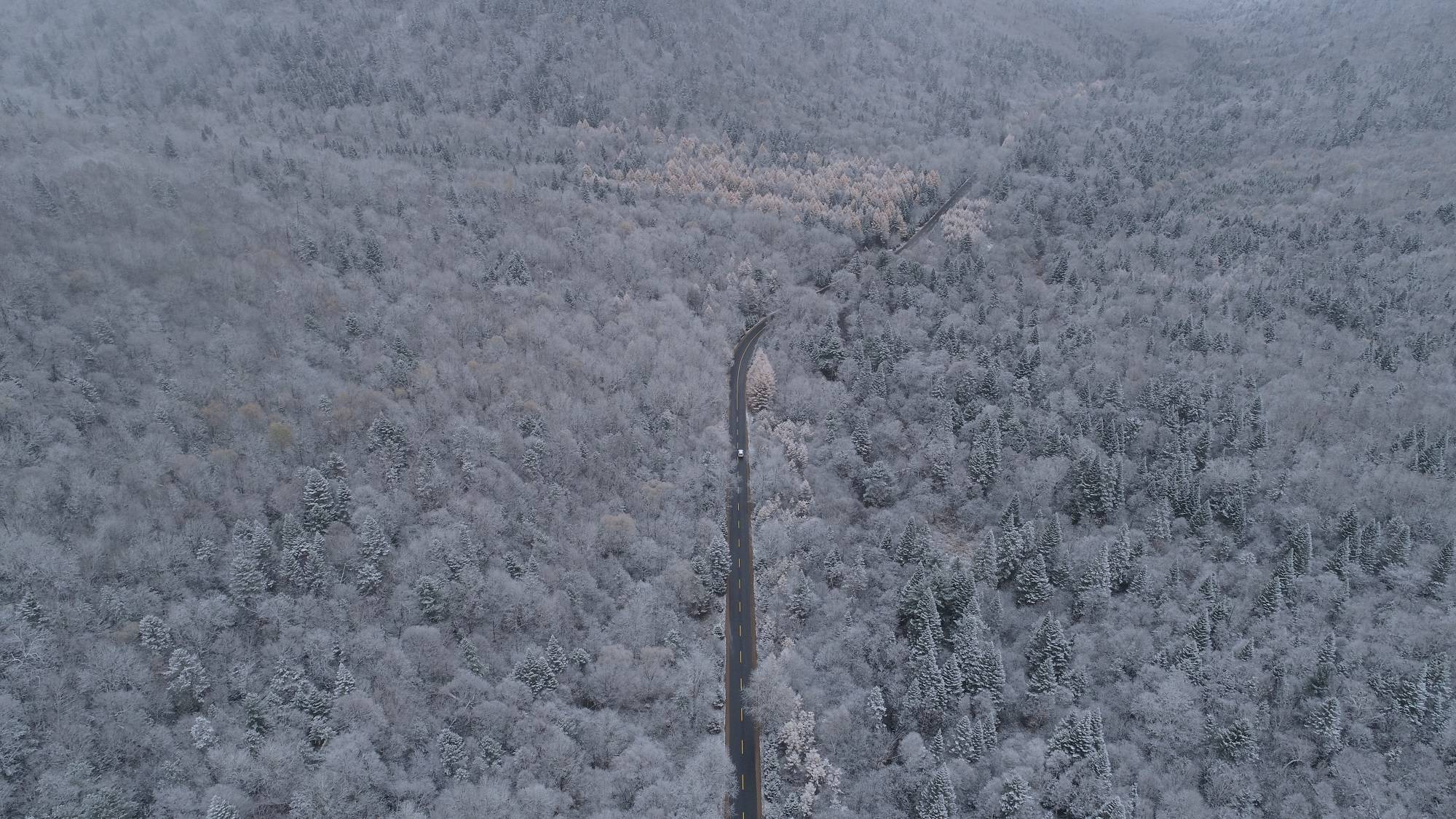 2021年第二期预告|今年冬季航拍小兴安岭的雪景!