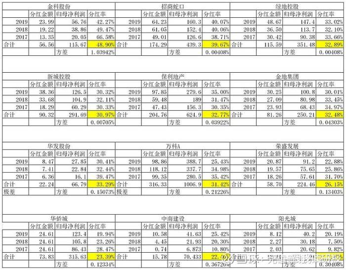 分红率排名_股东分红表格范文图片(2)
