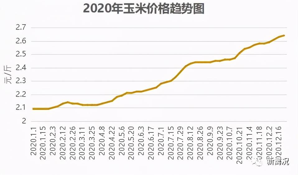 难难难!玉米破3000,豆粕破4000,豆油翻倍,鸡价还在原地踏步!