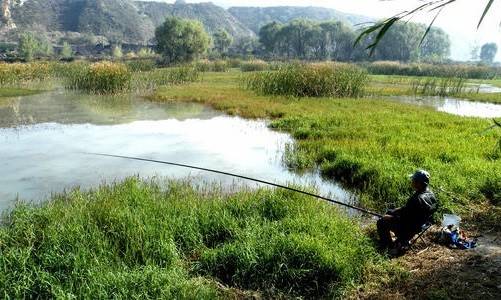 河南村民钓到一只“乌龟”，身上插着4支箭，专家：这一竿值18亿