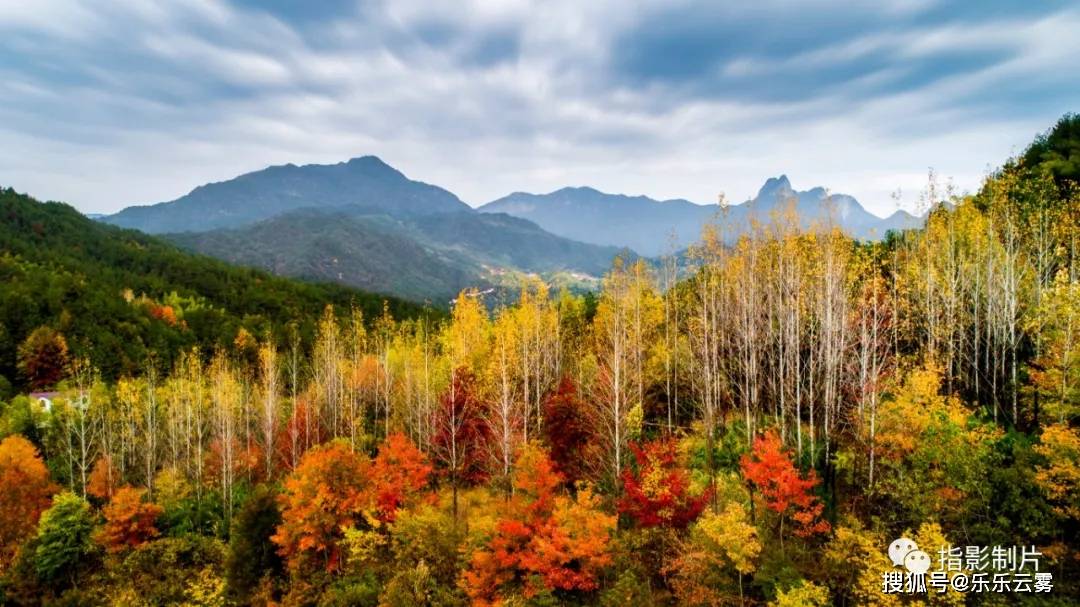钟灵毓秀旅游胜地大美岳西河图宣传片来了