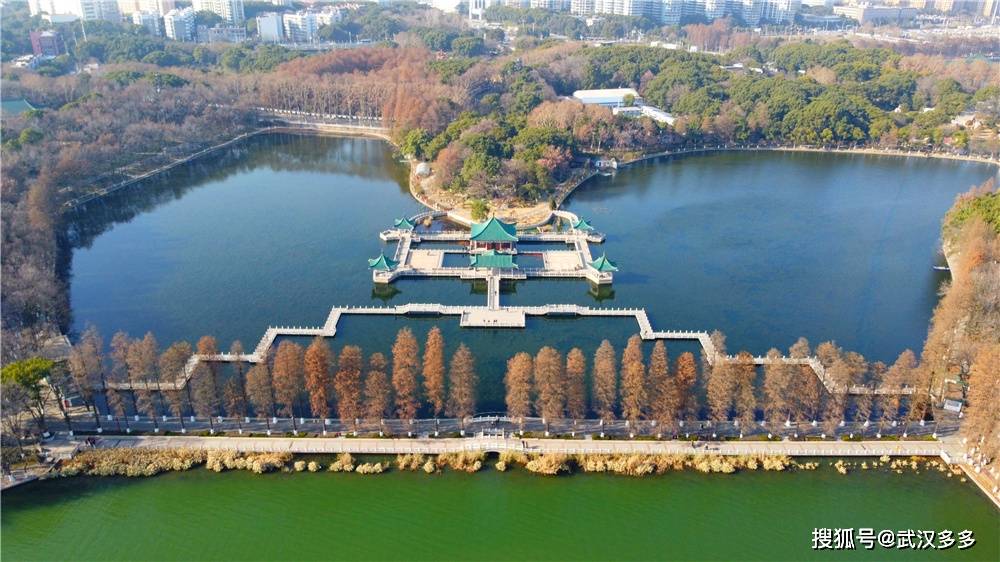 成语游鱼什么听_游鱼棒是什么(2)