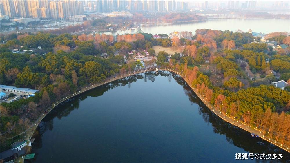 成语游鱼什么听_游鱼棒是什么(2)