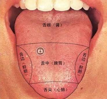原创肝内有癌牙龈先知若牙龈出现3个异常或许肝脏令人担忧