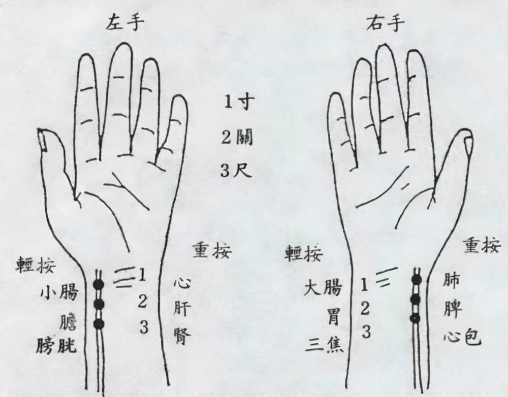 先认识左右手脉相对应五脏:双手的寸,关,尺三个位置分别对应人体
