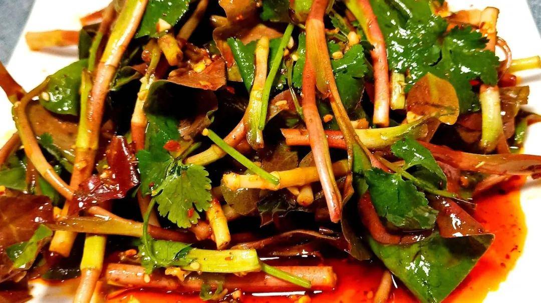 折耳根又叫鱼腥草,是在四川农村随处可见的一种野菜.
