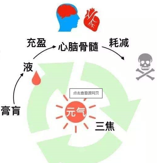 一次说明白揭开三焦神秘的面纱