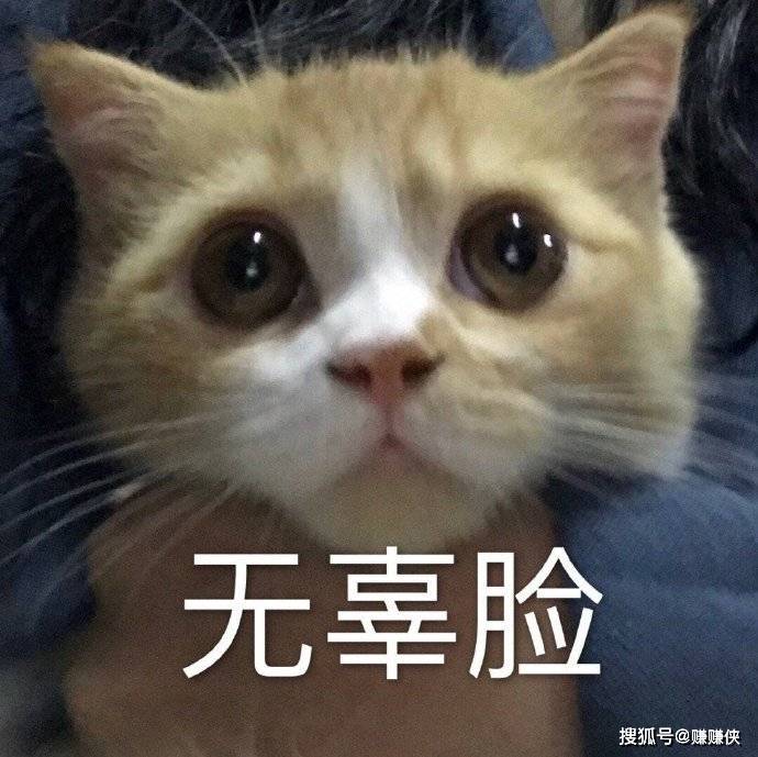 可爱表情包图片:小拳拳捶你胸口哦