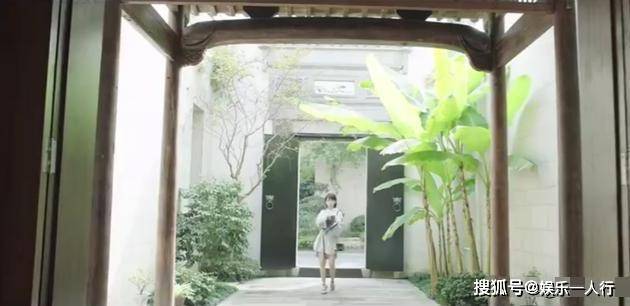 王子文晒自己住的豪宅,客厅沙发能当床,家中餐桌都要十几米长