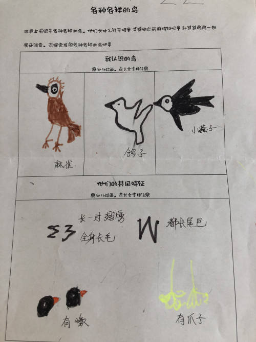诺亚舟桐乡市庆安小牛津幼儿园中班组——动物乐园