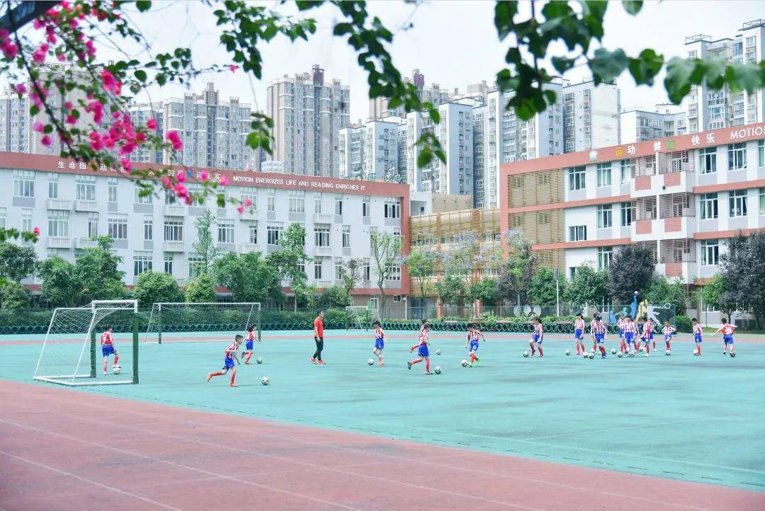 双流区协和实验小学:带上你的怡心乐章,我们在天鹅湖畔等你高歌