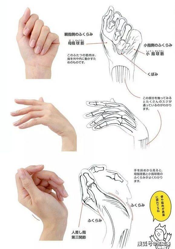 几种常见手的状态,手从舒展状态到握拳,5个关键点的变化.