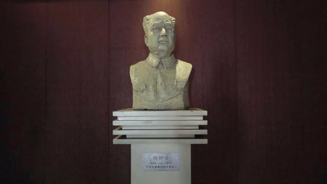 观看完整视频,还可以关注搜索以