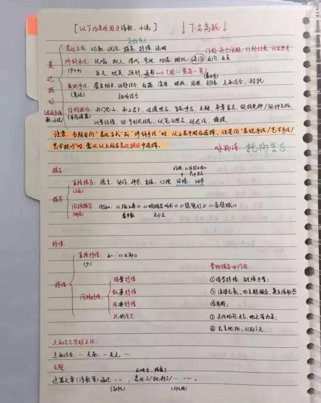 总分725分语文146的理科状元的课堂笔记曝光,书写堪比"印刷体"