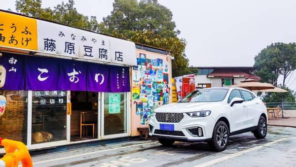 经过漫长的寻找,再结合身边老司机的建议,我看中了wey旗下的种子选手