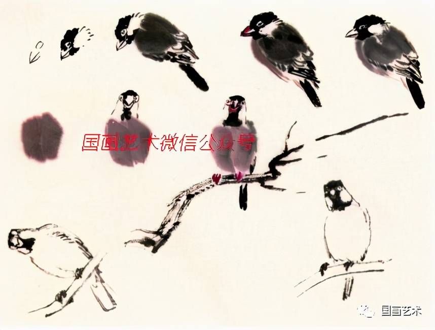 图文教程:一学就会画灰文鸟