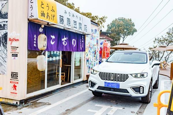 经过漫长的寻找,再结合身边老司机的建议,我看中了wey旗下的种子选手