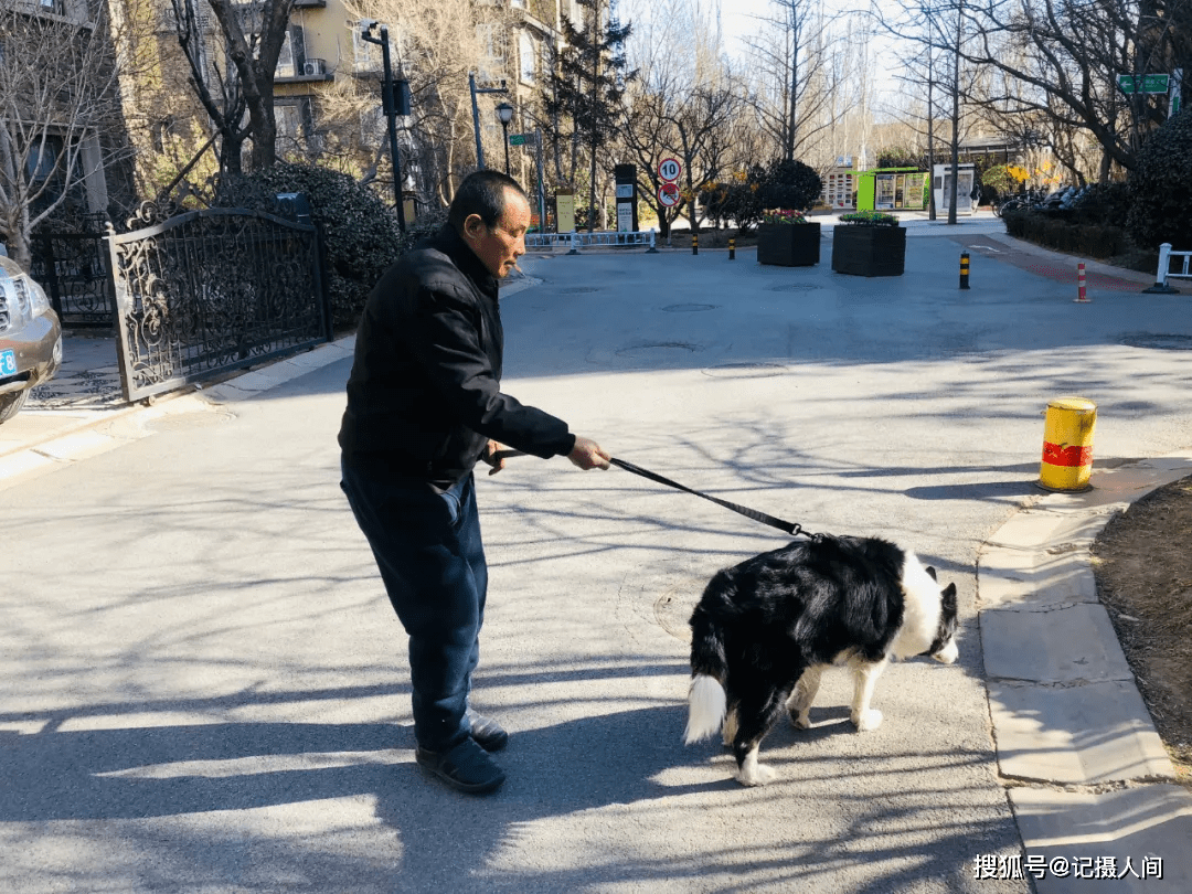 遛狗拴绳入法!记者实探北京通州多小区居民遛狗现状