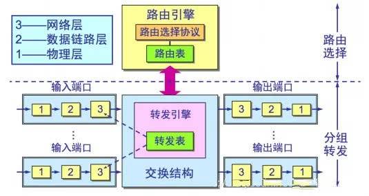 典型的路由器结构