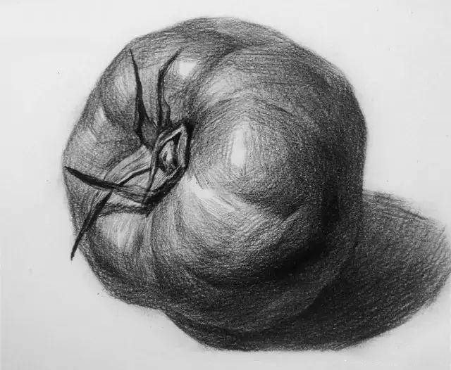 零基础学素描要先学什么后学什么?