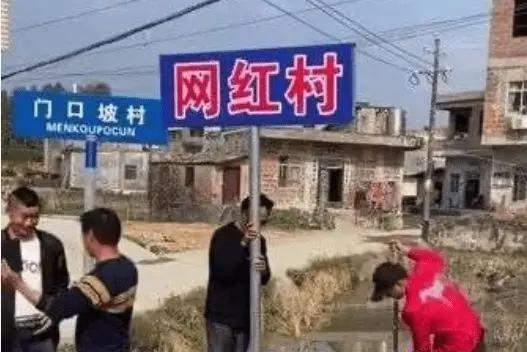被政府约谈一夜消失今年最短命的网红早该凉了