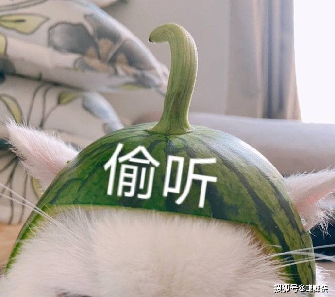 热门表情包:泪如雨下