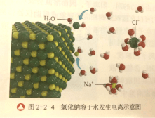 电解质的电离 讲义