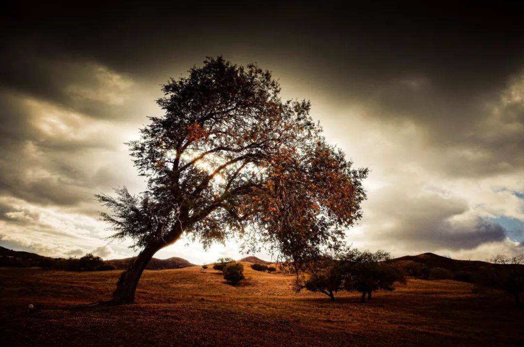 毕竟阿斌可不是那些靠拍婚庆或者