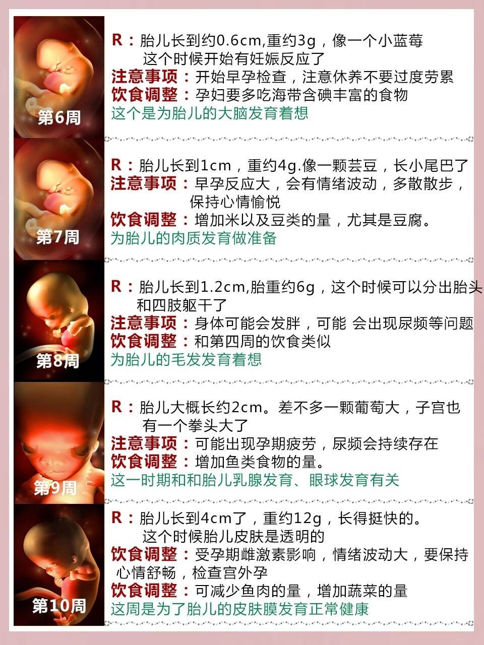 140周胎儿发育过程及注意事项超详细