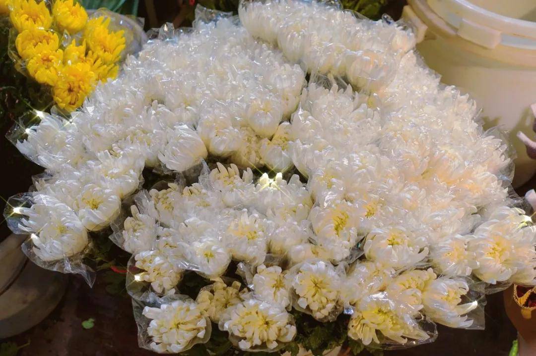 济南人的实用浪漫攻略,藏在这些盛开的市场里,过年走!