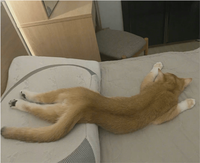 搞笑gif段子:表妹4岁了,舅舅家养两公鸡,一只鸡被车撞死了,遂杀了吃肉