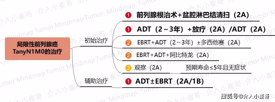 局限性前列腺癌(tanyn1m0)的治疗