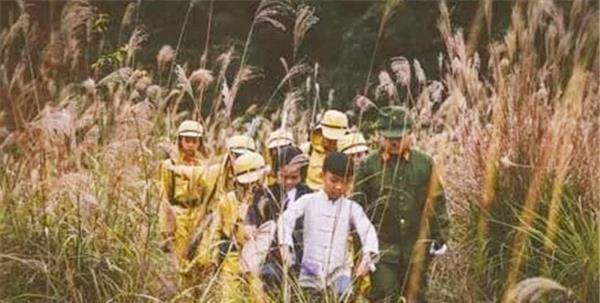 手机搜狐网