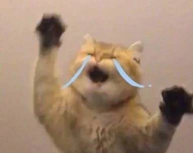 春节假期第一天，京东全城购让我喝上了水……